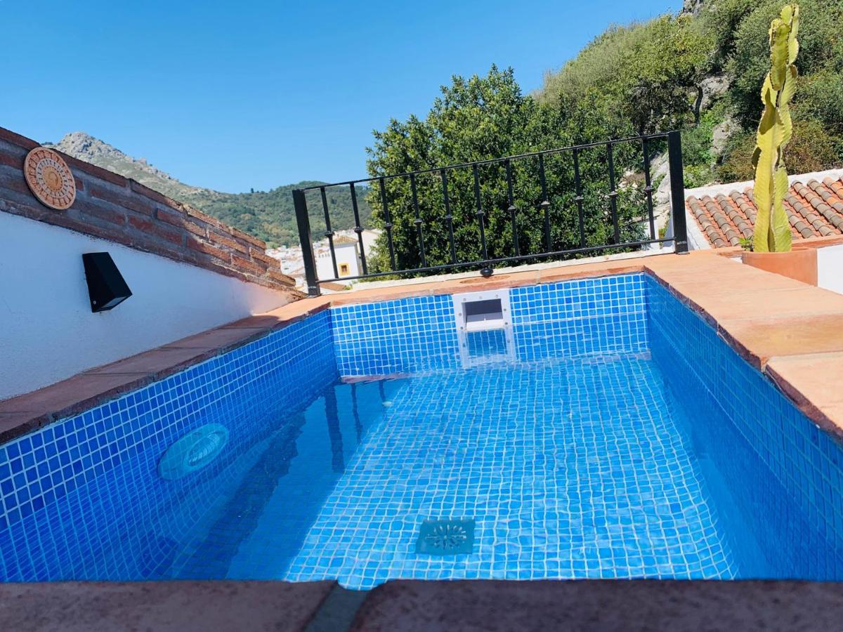 가우신 Casita Valdivia 빌라 외부 사진